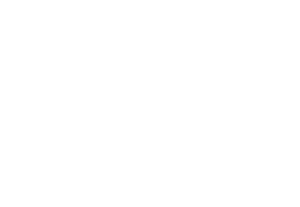 Carrier logo in white